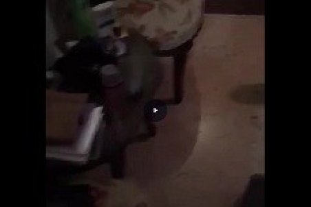 دزد به خانه مریم امیرجلالی زد!