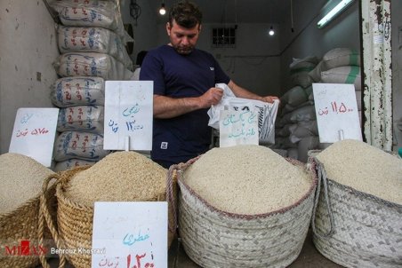 کاهش تقاضای برنج وارداتی/ واردات ۲۰۰ هزار تُن برنج به کشور