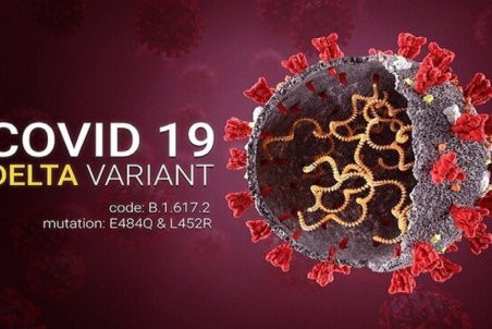 پیک پنجم کرونا با جهشی که میزان انتقالش، ۶ تا ۱۲ برابر است/ کرونای دلتا چه ویژگی‌هایی دارد؟