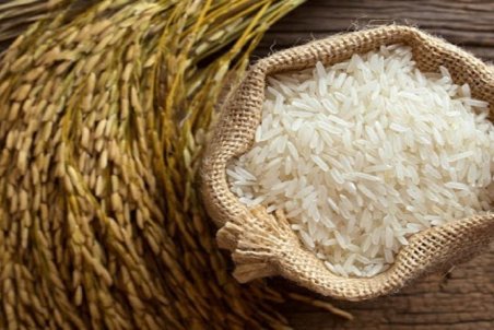فاسد شدن برنج واقعیت ندارد/ قیمت هر کیلو برنج خارجی ۲۶ هزار تومان