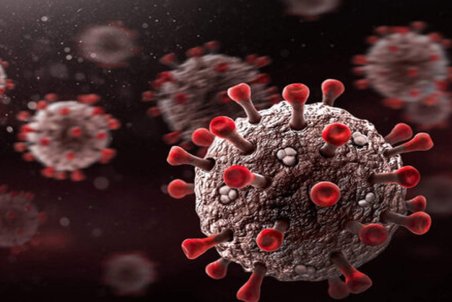 ۱۱ نمونه مشکوک به دلتا کرونا در خراسان شمالی