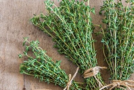 مضرات مصرف آویشن چیست؟