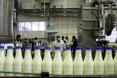 کلاهیان : افزایش قیمت شیرخام ، خواسته دامداران بود