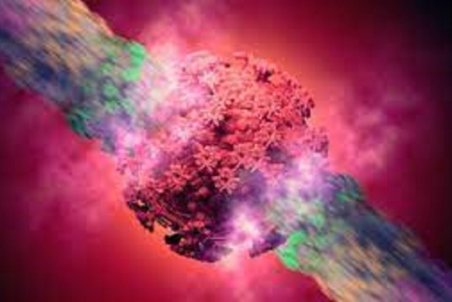 آنچه باید درباره نوع دلتا ویروس کرونا بدانیم