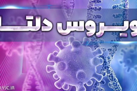 انتقال دلتای هندی و بروز علائم در چند ساعت رخ می‌دهد