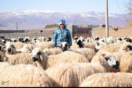 هشدار دامپزشکی درباره ۳ بیماری مشترک دام و انسان/لیست مراکز ذبح بهداشتی در آستانه عید قربان