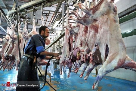 ضعف در سیستم توزیع عامل گرانی گوشت قرمز