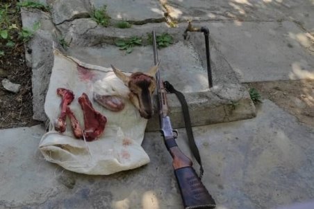شکارچیان بز کوهی در الشتر دستگیر شدند