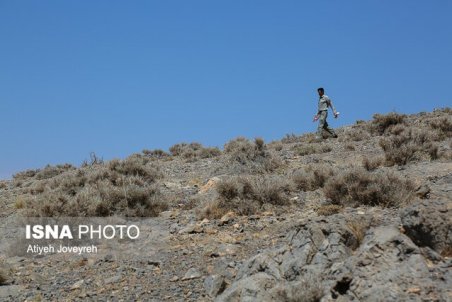 خروج حیات‌وحش اصفهان از مناطق حفاظت‌شده