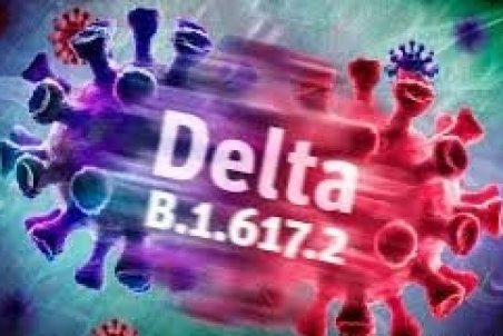 این ویروس می‌تواند سیستم ایمنی بدن را دور بزند