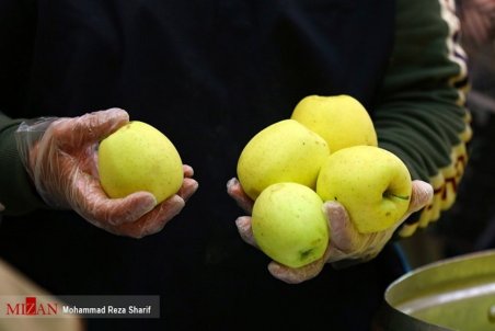 سیب تنها کلید واردات موز/ پیشنهاد صادرات دیگر محصولات کشاورزی به جای سیب