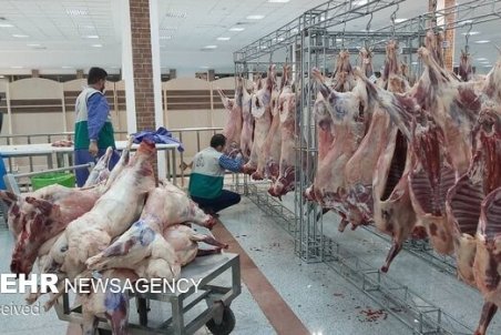 زنگ خطر درباره کشتار دام‌های سبک