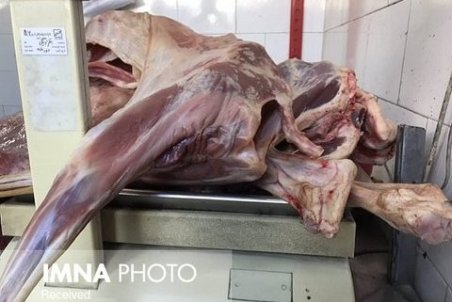 قیمت گوشت قرمز کاهش یافته است