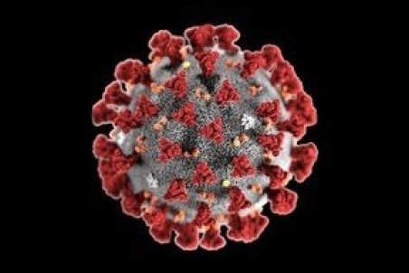 ویروس دلتا بین افراد واکسینه شده بیشتر است