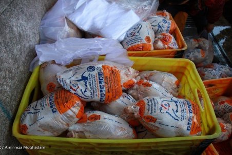 مرغ هم چند نرخی شد!