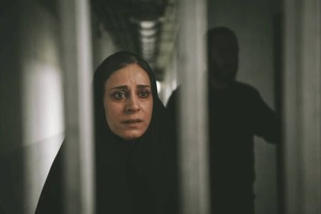 حضور «قصیده گاو سفید» در ۲ جشنواره خارجی