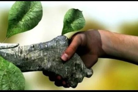 جذب بیش از 270 نفر همیار طبیعت در شهرستانهای چناران و گلبهار