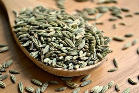 تاثیر قابل توجه گیاه رازیانه در درمان عفونت کرونا