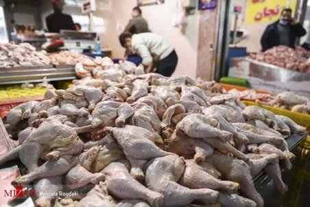 مرغ باز هم گران شد؛ هرکیلو ۴۰ هزار تومان!