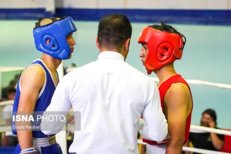 مهدی‌پور: مشکل بوکس نداشتن کمپ است