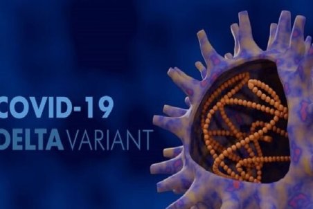 مثبت شدن تست کرونای ۴۳۳ نفر در یزد/ حال ۱۳۳ بیمار وخیم است