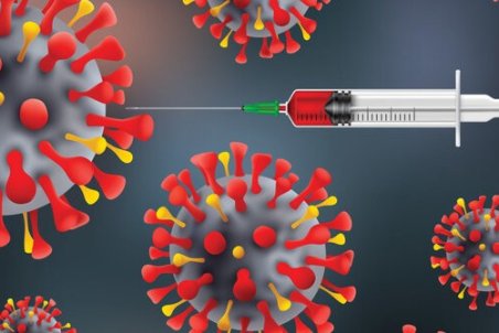 «قارچ سیاه» چقدر خطرناک است؟
