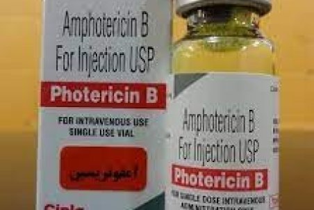 «آمفوتیریسین بی» داروی نایاب درمان قارچ سیاه چیست؟