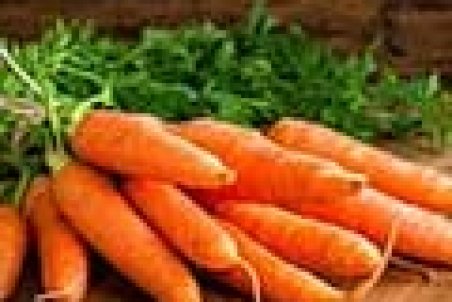 تا هفته آینده هویج زیر ۱۰تومان توزیع می‌شود