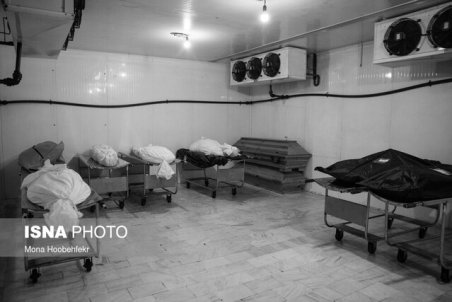 افزایش ۲/۵ برابری تعداد فوتی‌های کرونا در بوشهر