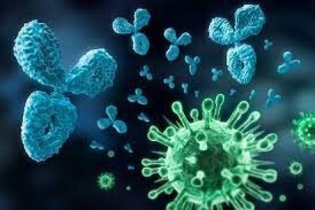 رنگ‌بندی جدید کرونایی شهرستان‌های ایلام اعلام شد