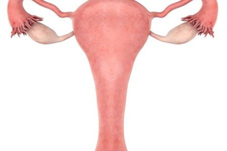 آیا ورم رحم خطرناک است؟ تشخیص و راه درمان