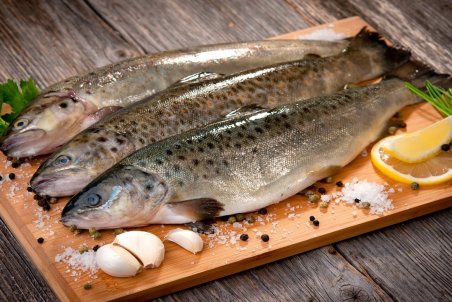 خشکسالی تولید ماهی را کاهش داد/ قیمت هر کیلو قزل آلا در تهران ۵۹ هزار توما