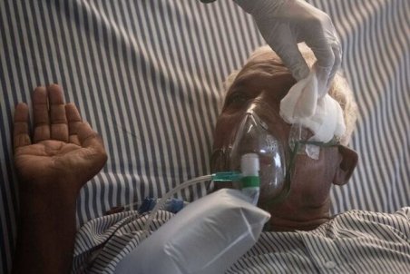 تا کنون گزارشی از "قارچ‌سیاه "در همدان نداشتیم