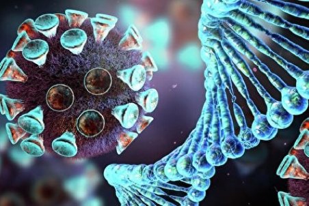 لامبدا در ایران شناسایی نشده