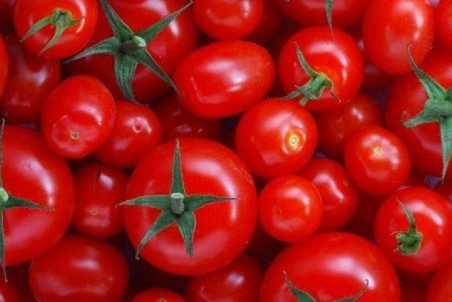 مصطفی زاده: کمبود گوجه رُب را گران کرد