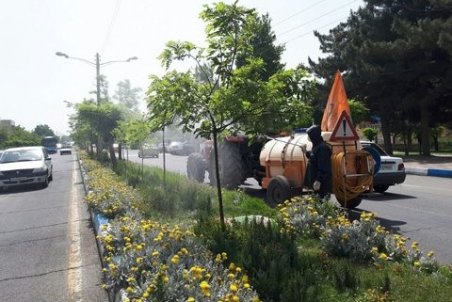 روند سمپاشی درختان شهر اصفهان