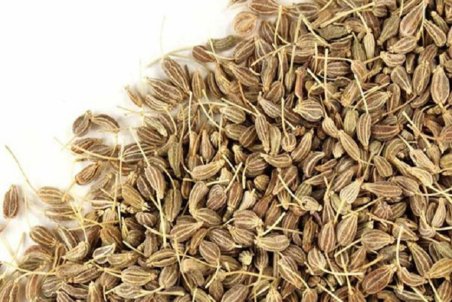 «آنیسون»؛ گیاهی افسانه‌ای با فواید بسیار