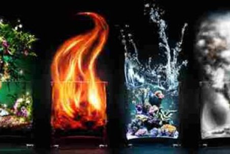 بلغم چیست و مشخصات بلغمی ها چیست؟