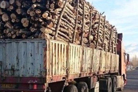 ۴۹ فقره مجوز حمل چوب آلات جنگلی از شهرستان کاشمر