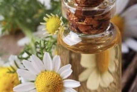 خواص درمانی روغن بابونه