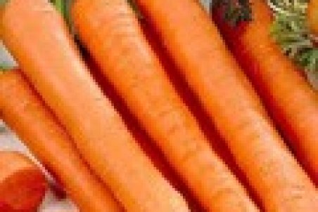 ادامه روند نزولی نرخ هویج