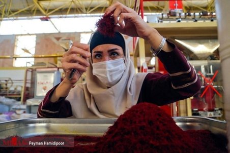 احتمال کاهش تولید زعفران در پی کاهش بارش‌ها