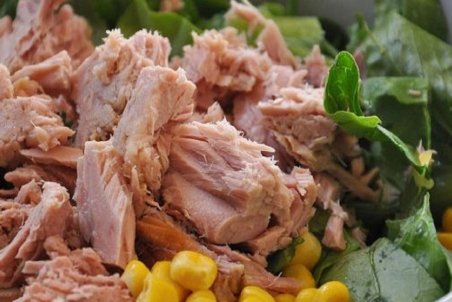 انواع کنسرو ماهی در بازار چند؟