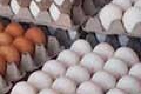 قیمت هر شانه تخم مرغ به ۵۰هزار تومان رسید