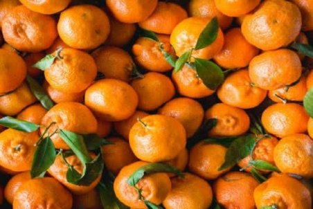 نارنگی‌های موجود در بازار رنگ‌آوری شده و مضر است