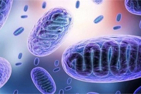 کرونا و قارچ سیاه؛ماسک های اکسیژن عاملی برای ابتلا به قارچ سیاه