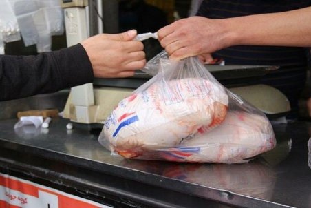 موسوی: مشکلی در تأمین گوشت مرغ نداریم