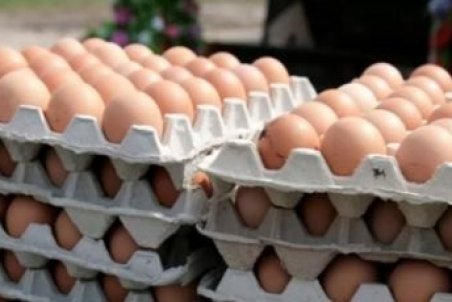 افزایش دوباره قیمت ها در بازار/ هر عدد تخم مرغ ۱۷۰۰ تومان شد