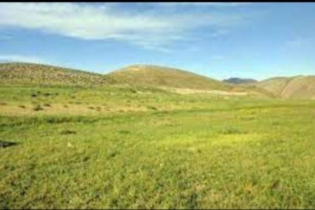 ممیزی بیش از 355 هزار هکتار از مراتع شهرستان سبزوار