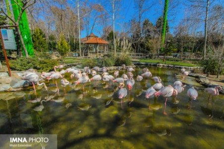 بازگشایی مراکز تفریحی و گردشگری ناژوان/ آکواریوم و تله سیژ همچنان تعطیل است